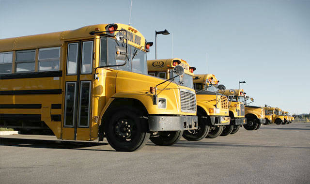MS768