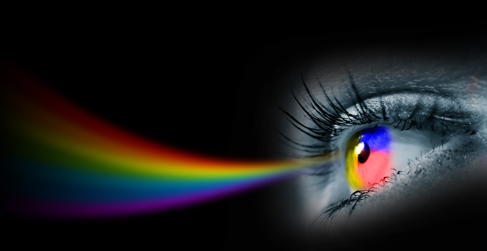 http://asset.msi.com/global/picture/image/feature/nb/Pseries/PE70_2QE/PE60_2QD_2QE/Px60_2QD_trueColor.jpg