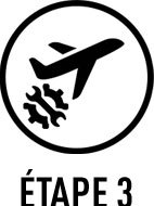 MB