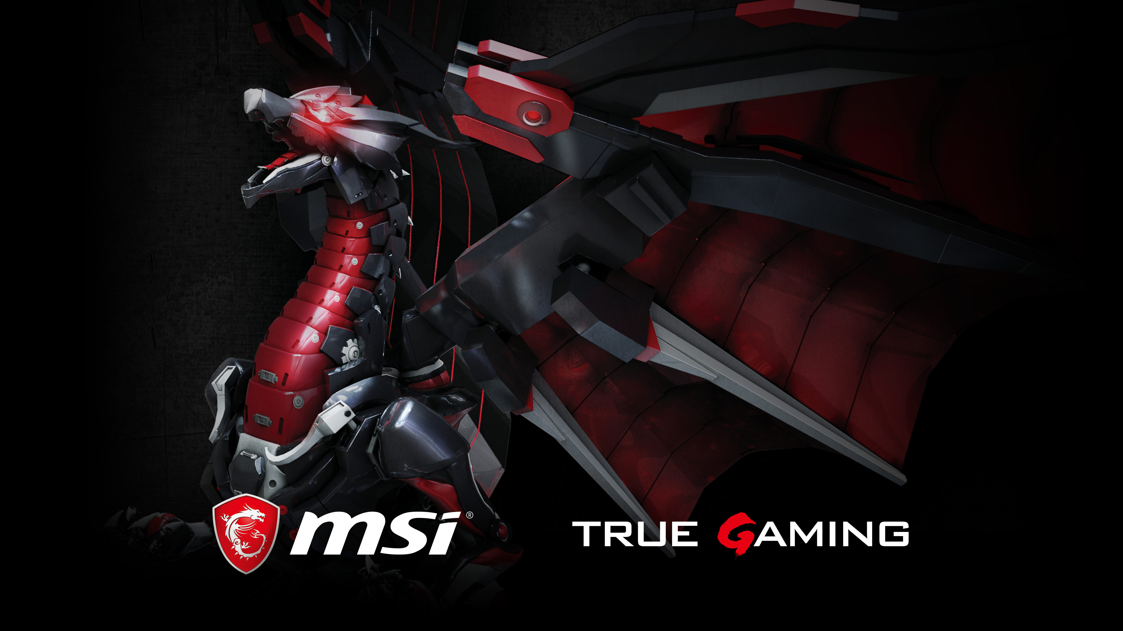 Wallpaper MSI USA