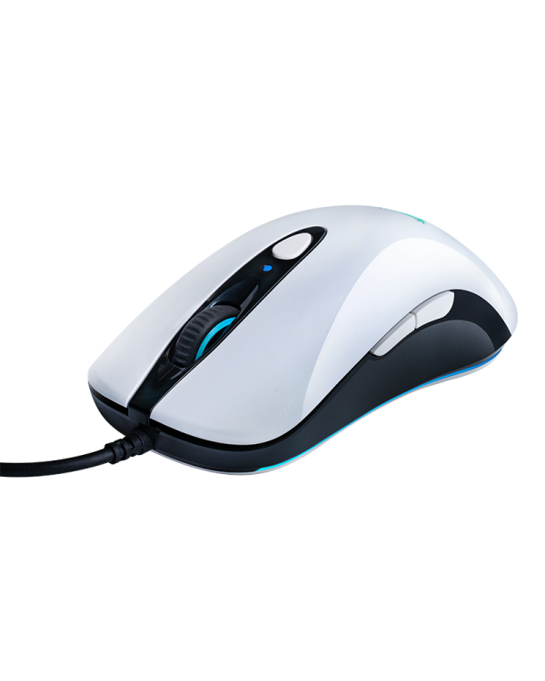 Interceptor DS 102 RGB Gaming Mouse