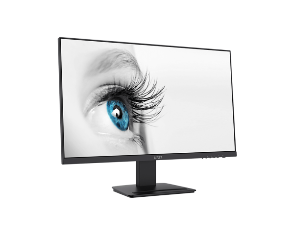 Black and white monitor