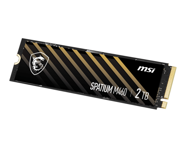 SPATIUM M460 PCIe 4.0 NVMe M.2