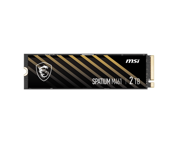 SPATIUM M461 PCIe 4.0 NVMe M.2