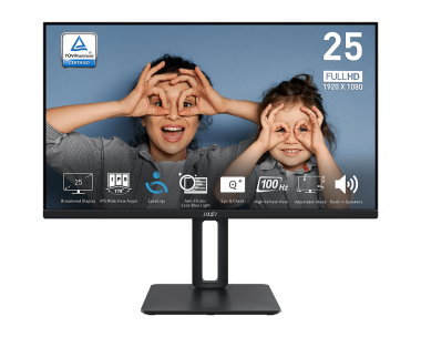 MSI PRO MP251P