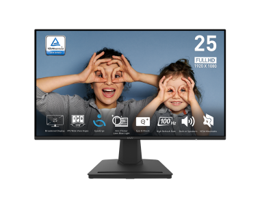 PRO MP252 | Professional Business Monitor for Work and Home