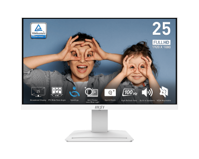 PRO MP253W | Professional Business Monitor for Work and Home | MSI