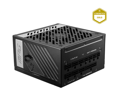 MPG A1000G | Power Supply | Go Beyond with Power