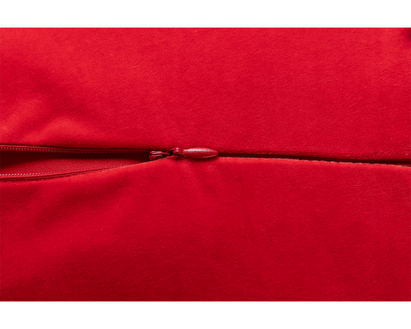 Lucky Mascot Cushion