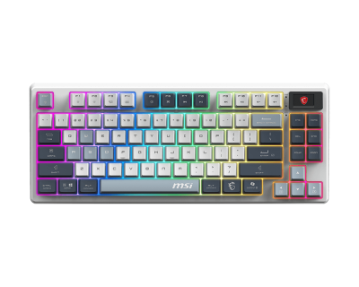 MSI USA