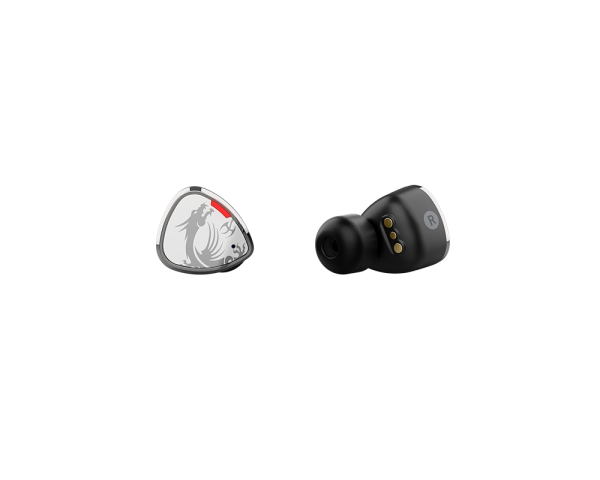 CH40 WIRELESS EARBUDS