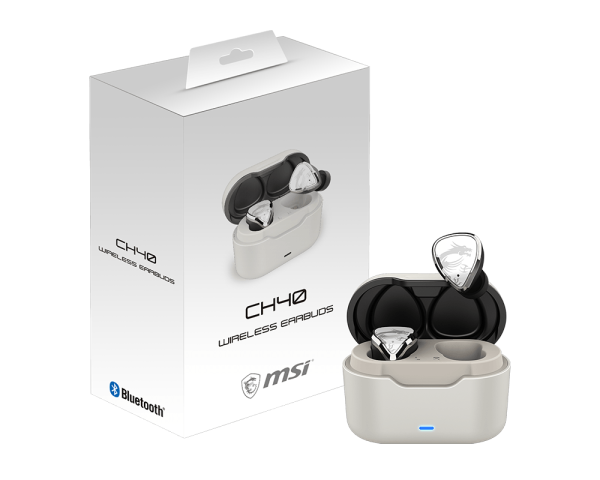 CH40 WIRELESS EARBUDS