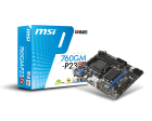 760GM-P23 (FX)